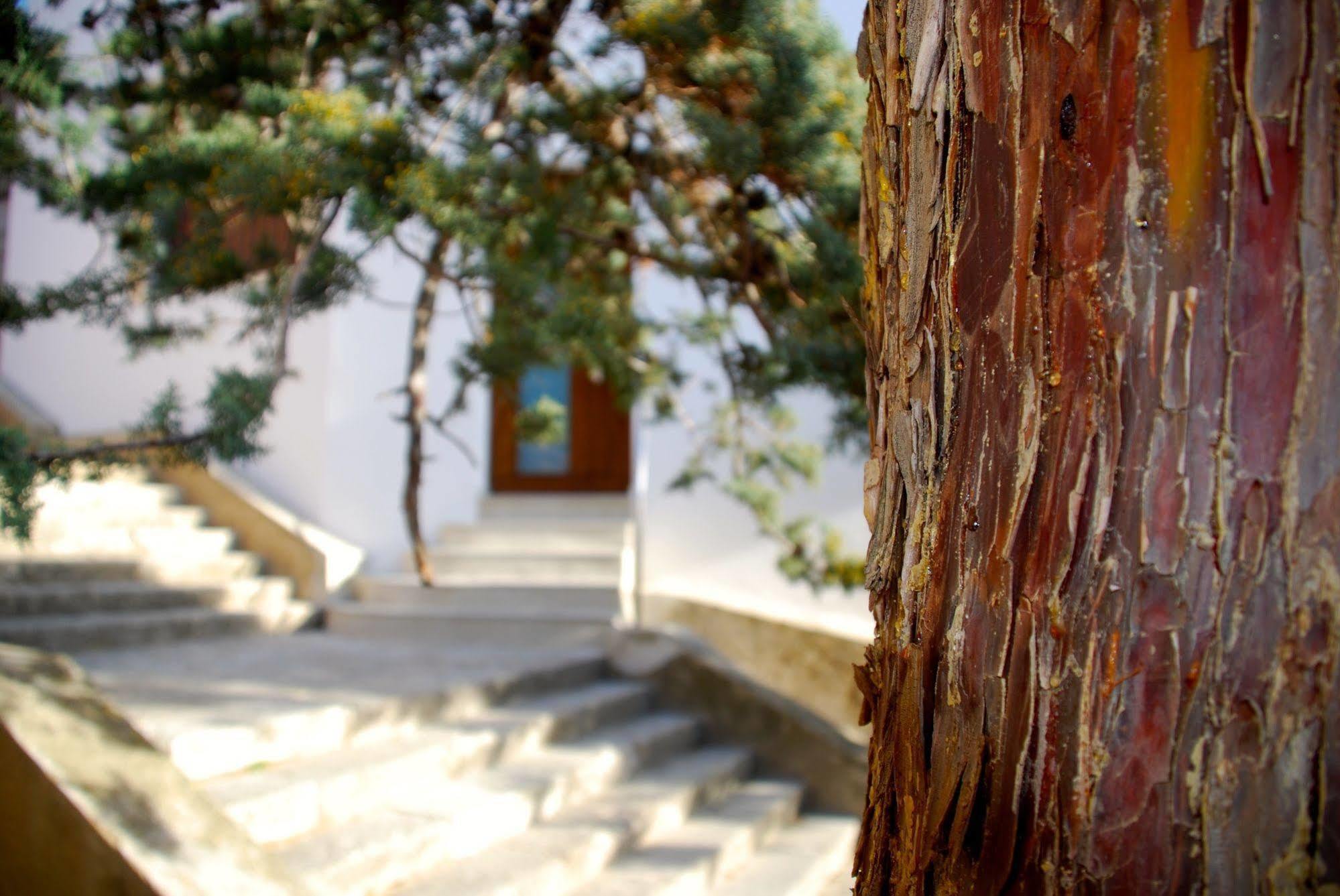 Apartamento Rural Castillo De Yeste 2 Pax (Adults Only) 外观 照片